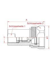 Kupplungs-Muffe (weiblich, Festteil)