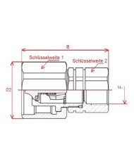 Schraubkupplung (männlich)