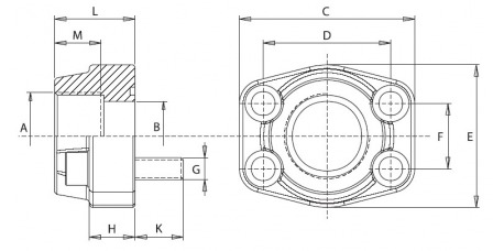 3000 PSI Stahl ASTM/A 105