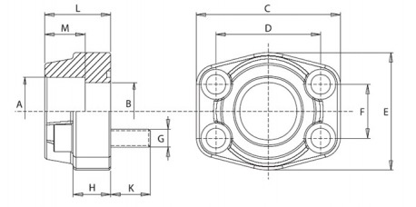 3000 PSI Stahl ASTM/A 105