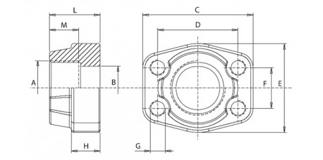 3000 PSI Stahl ASTM/A 105