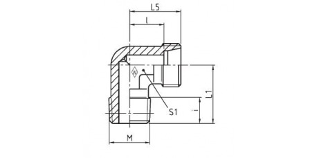 Serie L Winkel-Einschraubstutzen WES - MK