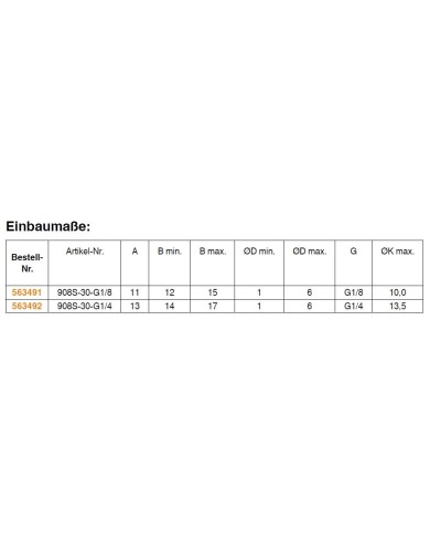 Entlüftungsschraube