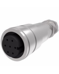 Stecker - Connector